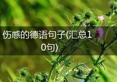 伤感的德语句子(汇总10句)