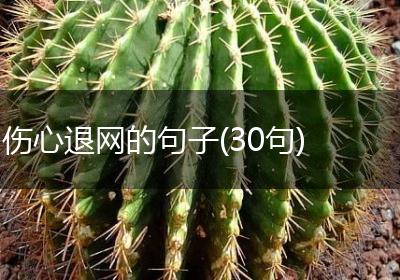 伤心退网的句子(30句)