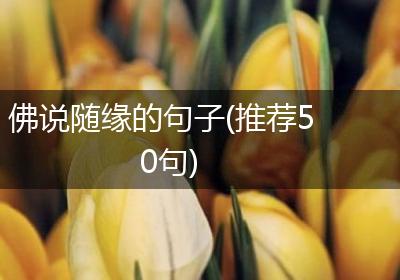 佛说随缘的句子(推荐50句)