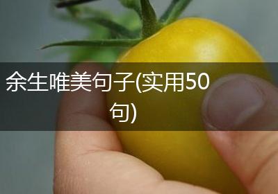 余生唯美句子(实用50句)