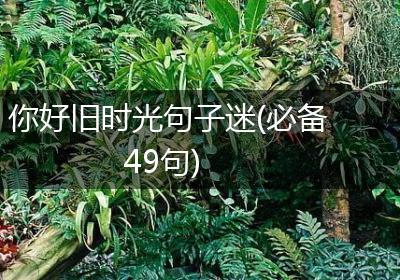 你好旧时光句子迷(必备49句)