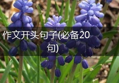 作文开头句子(必备20句)