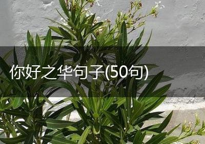 你好之华句子(50句)