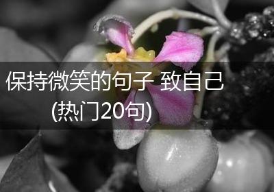 保持微笑的句子 致自己(热门20句)