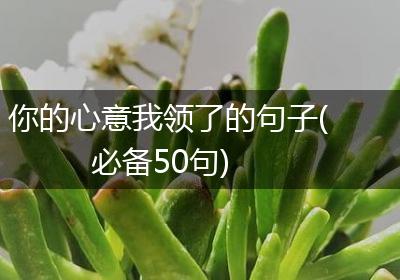 你的心意我领了的句子(必备50句)