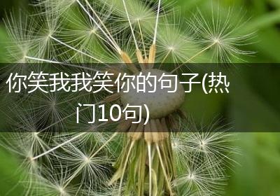你笑我我笑你的句子(热门10句)