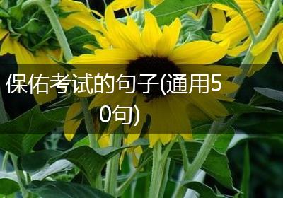 保佑考试的句子(通用50句)