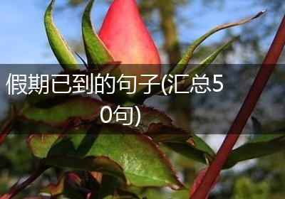 假期已到的句子(汇总50句)