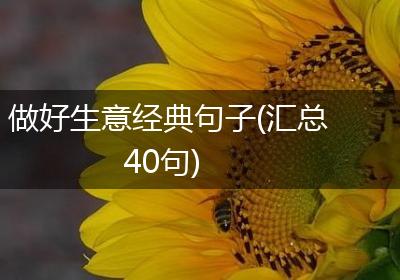 做好生意经典句子(汇总40句)