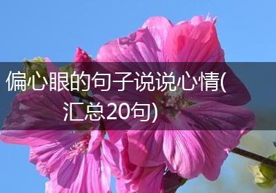 偏心眼的句子说说心情(汇总20句)
