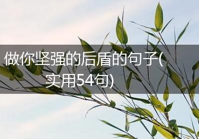 做你坚强的后盾的句子(实用54句)