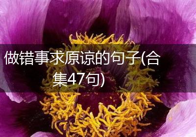 做错事求原谅的句子(合集47句)