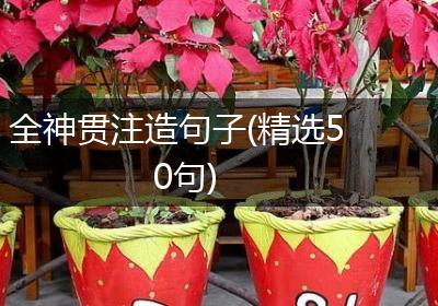 全神贯注造句子(精选50句)