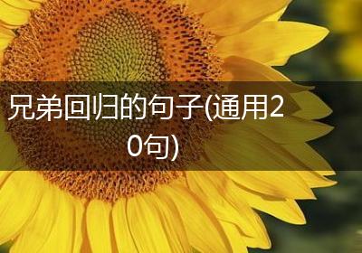 兄弟回归的句子(通用20句)