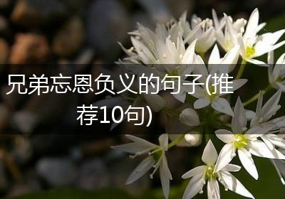 兄弟忘恩负义的句子(推荐10句)