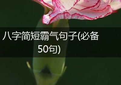 八字简短霸气句子(必备50句)