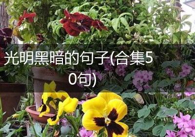 光明黑暗的句子(合集50句)