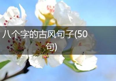 八个字的古风句子(50句)