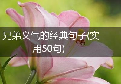 兄弟义气的经典句子(实用50句)