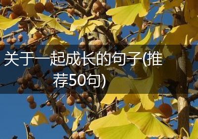 关于一起成长的句子(推荐50句)