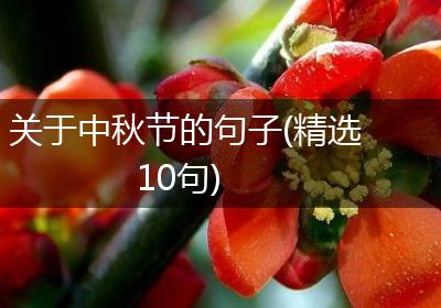 关于中秋节的句子(精选10句)