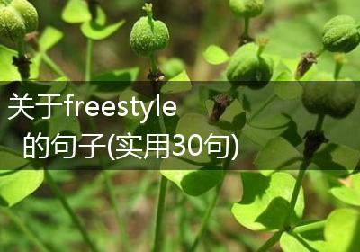 关于freestyle的句子(实用30句)
