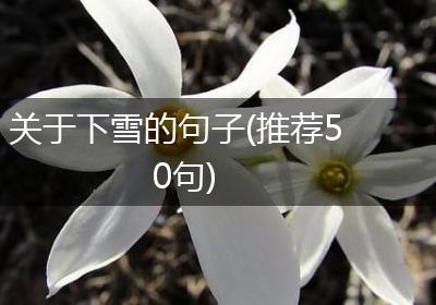 关于下雪的句子(推荐50句)