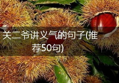 关二爷讲义气的句子(推荐50句)