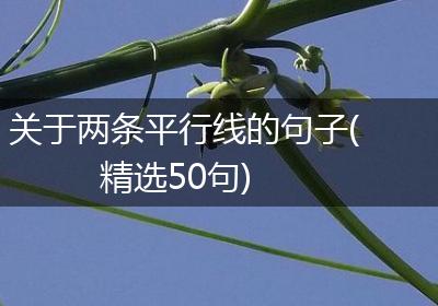 关于两条平行线的句子(精选50句)