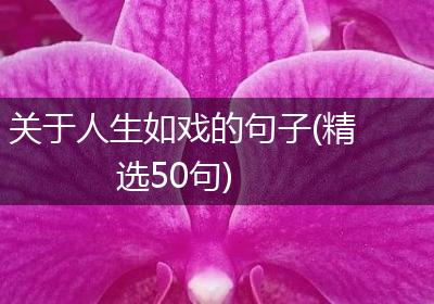 关于人生如戏的句子(精选50句)