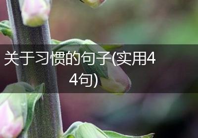 关于习惯的句子(实用44句)