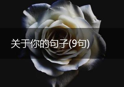 关于你的句子(9句)