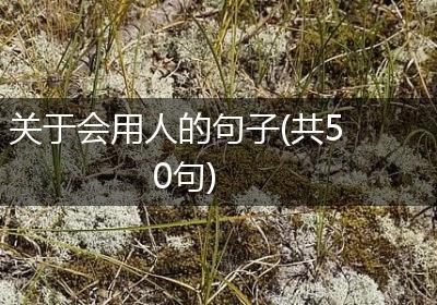 关于会用人的句子(共50句)