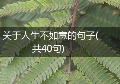 关于人生不如意的句子(共40句)