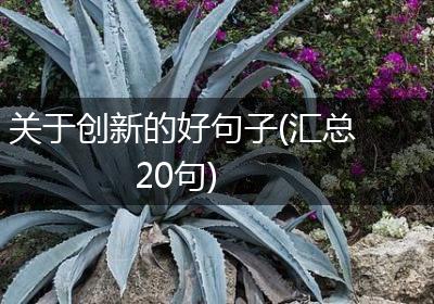 关于创新的好句子(汇总20句)
