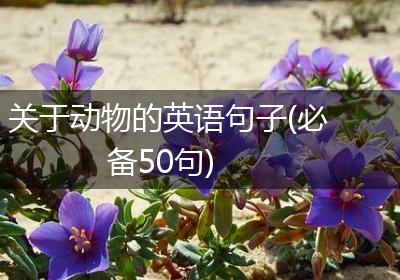 关于动物的英语句子(必备50句)