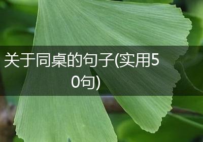 关于同桌的句子(实用50句)