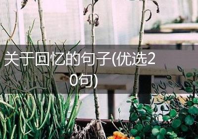 关于回忆的句子(优选20句)