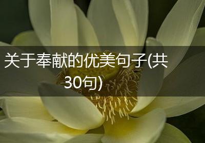关于奉献的优美句子(共30句)