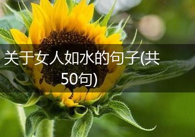 关于女人如水的句子(共50句)