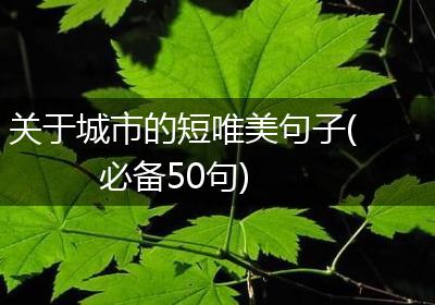 关于城市的短唯美句子(必备50句)