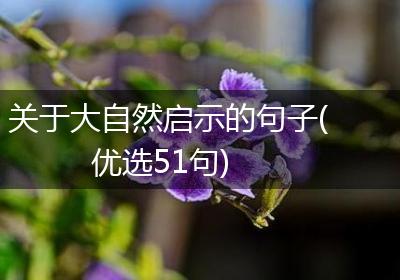 关于大自然启示的句子(优选51句)