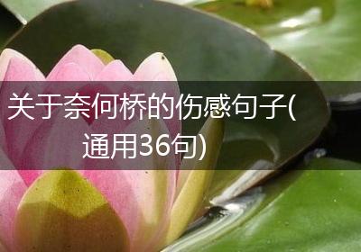 关于奈何桥的伤感句子(通用36句)