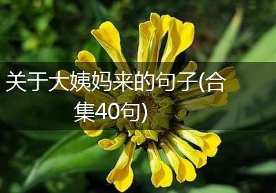 关于大姨妈来的句子(合集40句)
