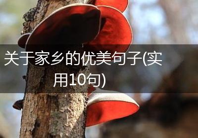 关于家乡的优美句子(实用10句)