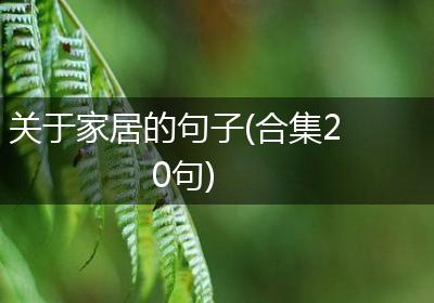 关于家居的句子(合集20句)