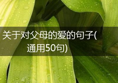 关于对父母的爱的句子(通用50句)