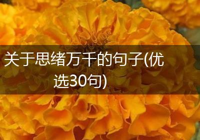 关于思绪万千的句子(优选30句)