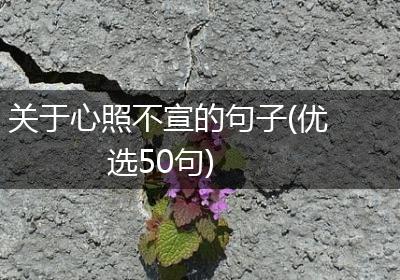 关于心照不宣的句子(优选50句)