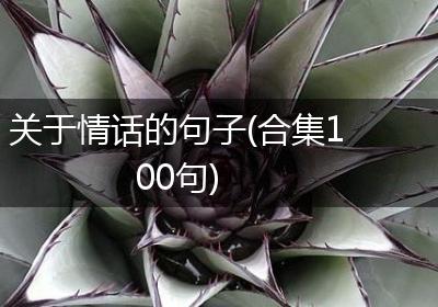 关于情话的句子(合集100句)